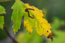 DSC_3218.jpg