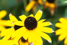 DSC_3217.jpg