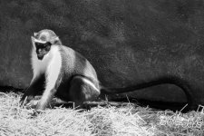 Zoo19.jpg