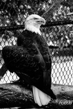 Zoo22.jpg