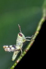 SHM_0847.jpg