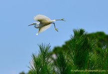 DSC_5206.jpg