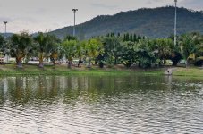 royalflora-27.jpg