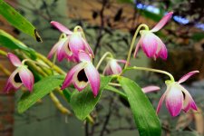 DSC_2092.jpg
