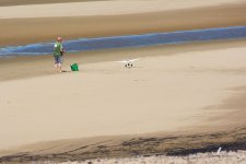 DSC_1998.jpg