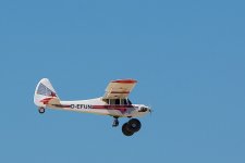 DSC_2006.jpg