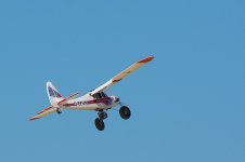 DSC_2007.jpg