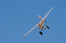 DSC_2008.jpg