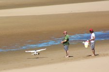 DSC_2018.jpg