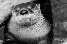 Zoo24.jpg