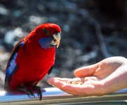 feeding_edited-1.jpg