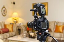 D800E video rig back.jpg