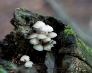DSC_4635_7382.jpg