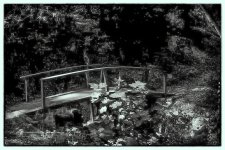bridge.jpg