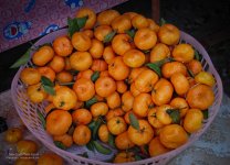 mandaeinorange-1.jpg