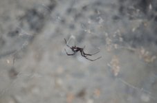 31st August 2013 065_006.JPG