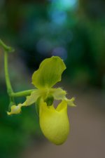 DSC_2040.jpg