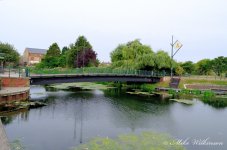 DSC_1497.JPG