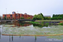DSC_1494.JPG