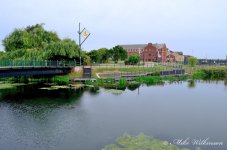 DSC_1519.JPG