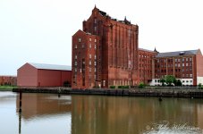 DSC_1535.JPG