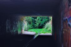 Light at the end of the tunnel - WM.jpg