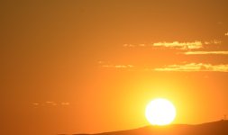 DSC_1786.JPG