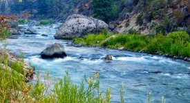 river-1.jpg