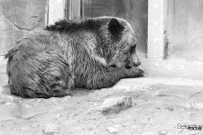 Zoo23.jpg