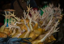 DSC_1887.jpg
