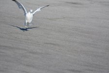 DSC_1789.jpg