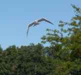 DSC_1794.JPG