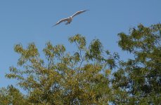 DSC_1814.jpg