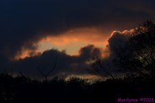 DSC_4846 copy_001.JPG