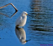 DSC_5632 copy_001.JPG