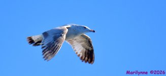 DSC_7640_001.JPG