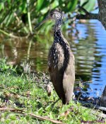 DSC_7657_001.JPG
