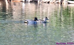 DSC_7689_001.JPG