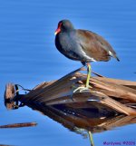 DSC_7840_001.JPG