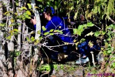 DSC_7861_001.JPG