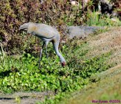 DSC_8023_001.JPG