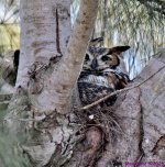 DSC_8034_001.JPG