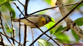 DSC_8147_001.JPG