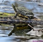 DSC_8160_stitch_001.JPG