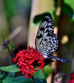 500_1865_001.JPG