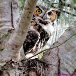 DSC_8242_001.JPG
