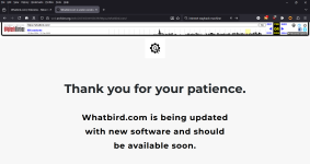 Screenshot 2026-02-17 111024.png