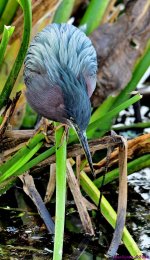 DSC_8271_001.JPG