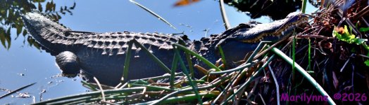 DSC_8298_stitch3_001.JPG