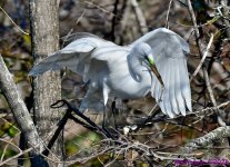 DSC_8328_001.JPG